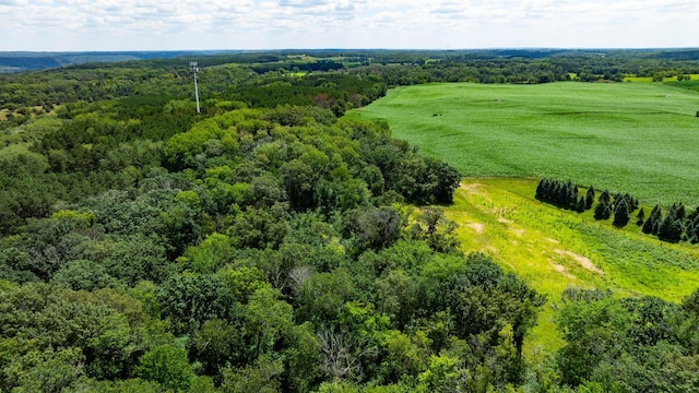 15055 Paul Ave N, May Twp, MN 55047 - photo 51