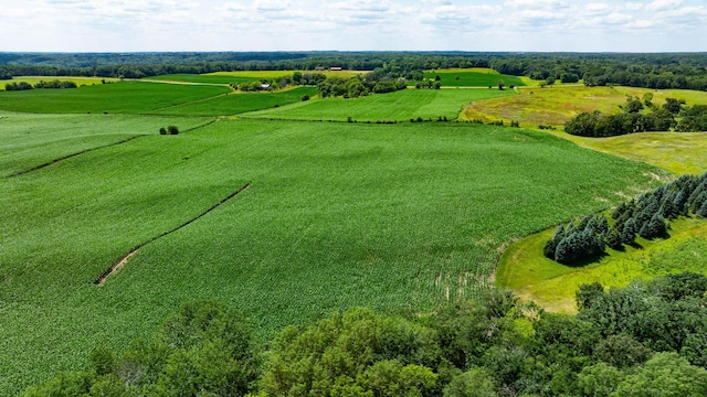 15055 Paul Ave N, May Twp, MN 55047 - photo 57