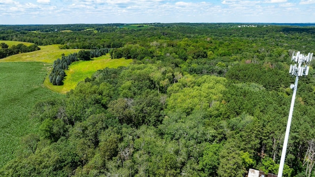 15055 Paul Ave N, May Twp, MN 55047 - photo 60
