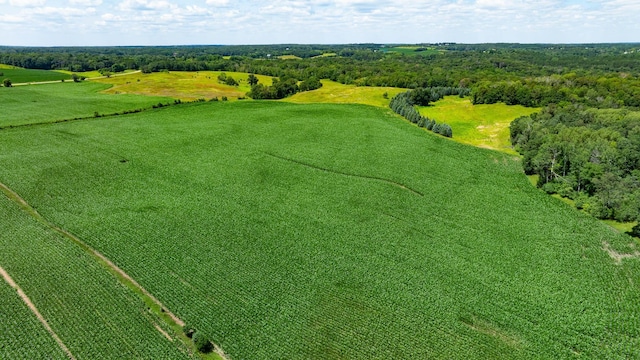 15055 Paul Ave N, May Twp, MN 55047 - photo 63