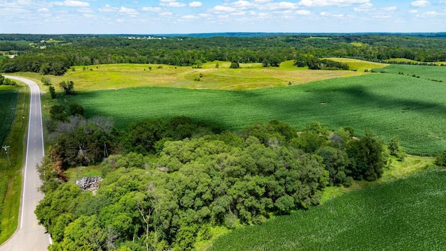 15055 Paul Ave N, May Twp, MN 55047 - photo 76