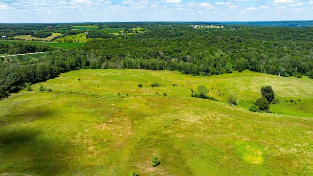 15055 Paul Ave N, May Twp, MN 55047 - photo 81