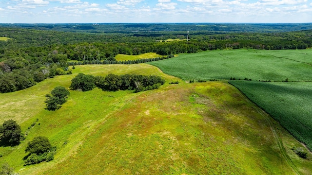 15055 Paul Ave N, May Twp, MN 55047 - photo 87