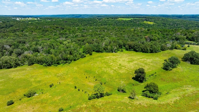 15055 Paul Ave N, May Twp, MN 55047 - photo 89