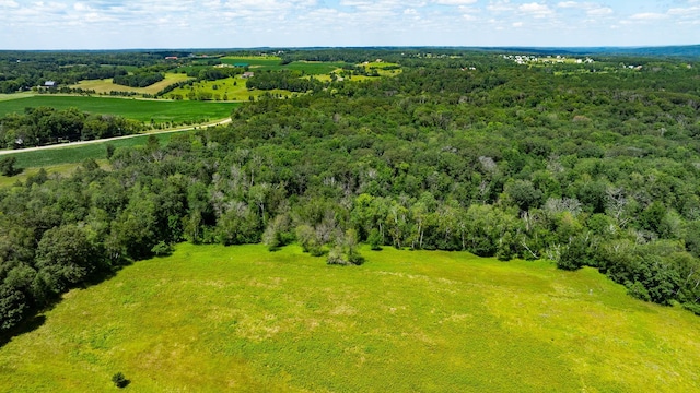 15055 Paul Ave N, May Twp, MN 55047 - photo 92