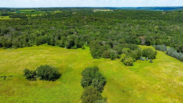 15055 Paul Ave N, May Twp, MN 55047 - photo 110