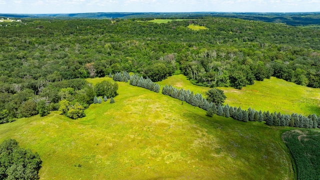 15055 Paul Ave N, May Twp, MN 55047 - photo 111