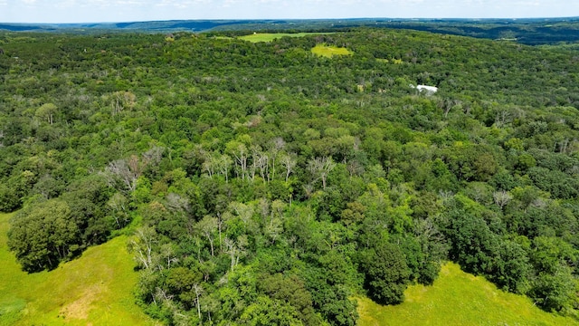 15055 Paul Ave N, May Twp, MN 55047 - photo 114