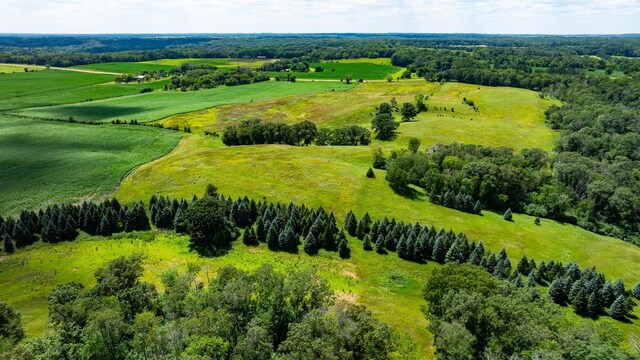 15055 Paul Ave N, May Twp, MN 55047 - photo 117