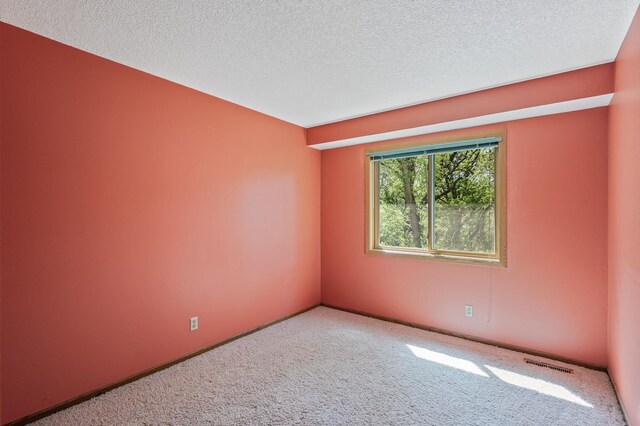 13838 Glendale Trl, Savage, MN 55378 - carpeted spare room with a textured ceiling