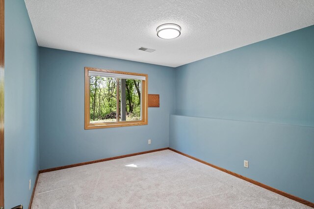 13838 Glendale Trl, Savage, MN 55378 - unfurnished room featuring carpet floors and a textured ceiling