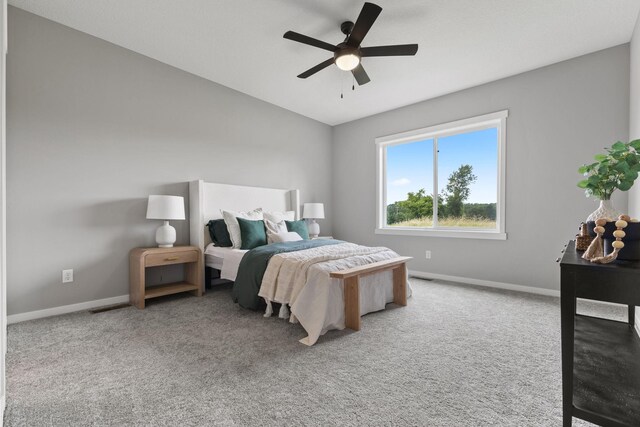 701 174th Ave NE, Ham Lake, MN 55304 - photo 23