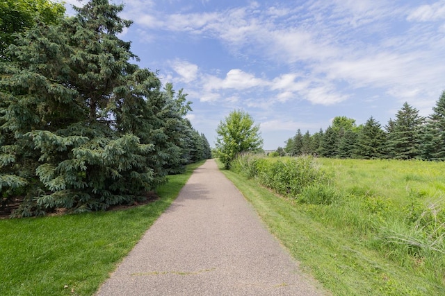 3473 Cherry Ln Unit C, Woodbury, MN 55129 - photo 33