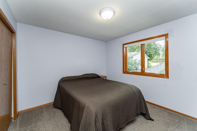 3714 8th St NW, Rochester, MN 55901 - bedroom with carpet and a closet