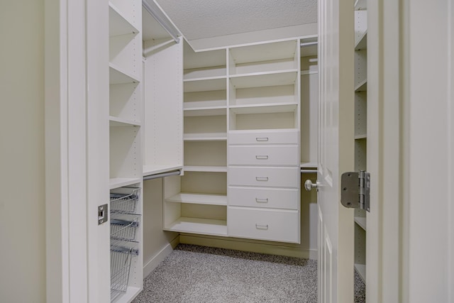 10521 Cedar Lake Rd Unit 208, Minnetonka, MN 55305 - walk in closet featuring carpet floors