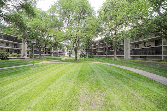 10521 Cedar Lake Rd Unit 208, Minnetonka, MN 55305 - surrounding community with a yard