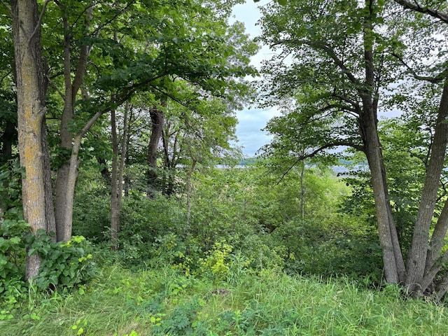 X Leaf River Rd, Ottertail, MN 56571 - photo 17