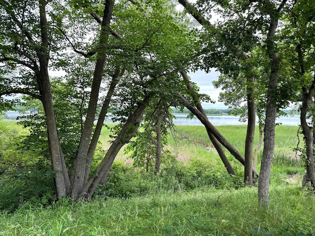 X Leaf River Rd, Ottertail, MN 56571 - photo 18