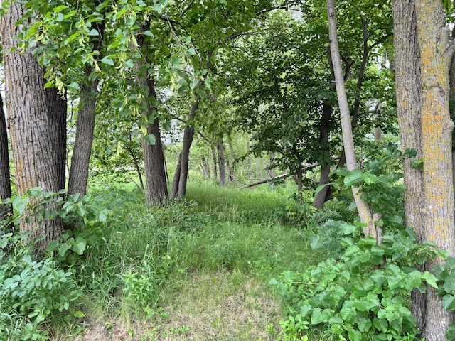 X Leaf River Rd, Ottertail, MN 56571 - photo 19