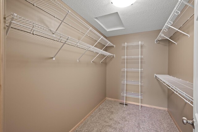 519 84th St, Bloomington, MN 55420 - photo 20