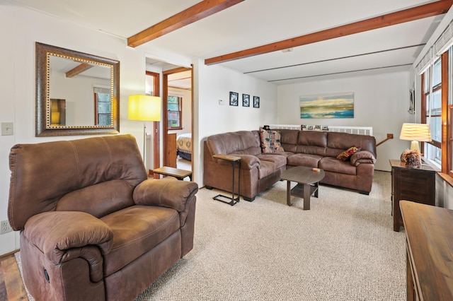 20963 Eagle Ct, Munson Twp, MN 56368 - living room with carpet and beam ceiling