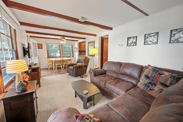 20963 Eagle Ct, Richmond, MN 56368 - photo 20