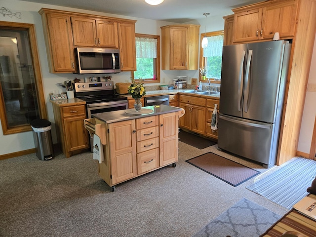 948 Pine Mountain Lake Rd NW, Deerfield Twp, MN 56435 - photo 3