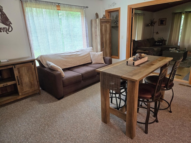 948 Pine Mountain Lake Rd NW, Deerfield Twp, MN 56435 - photo 6