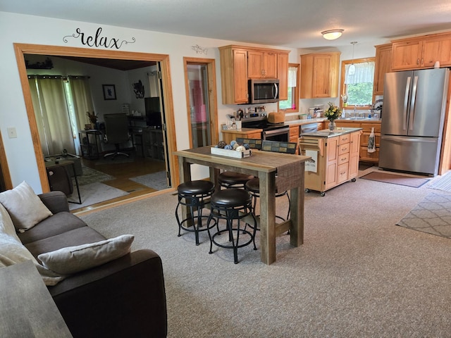 948 Pine Mountain Lake Rd NW, Deerfield Twp, MN 56435 - photo 7