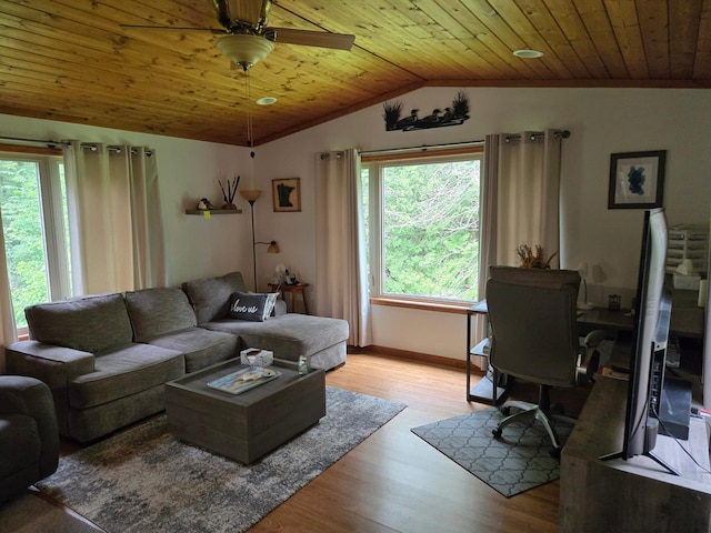 948 Pine Mountain Lake Rd NW, Deerfield Twp, MN 56435 - photo 9