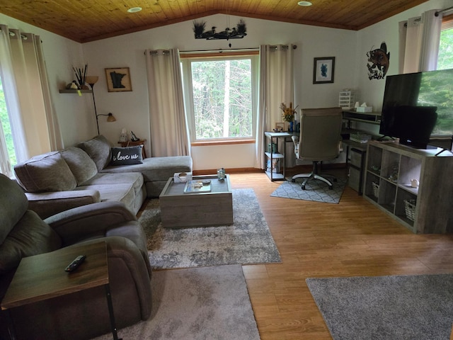 948 Pine Mountain Lake Rd NW, Deerfield Twp, MN 56435 - photo 10