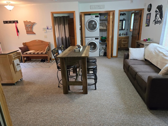 948 Pine Mountain Lake Rd NW, Deerfield Twp, MN 56435 - photo 12