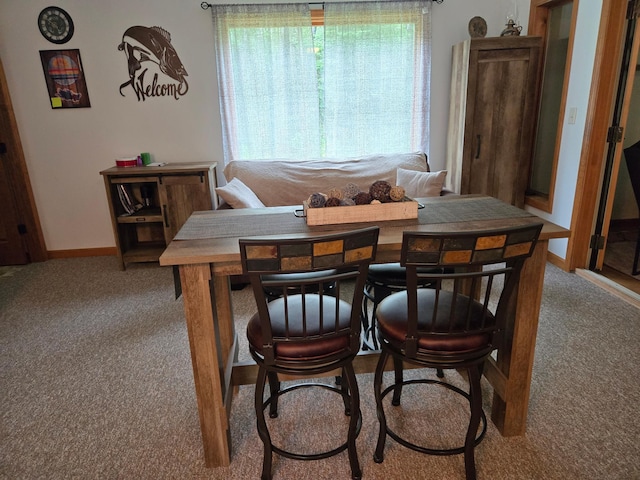 948 Pine Mountain Lake Rd NW, Deerfield Twp, MN 56435 - photo 8