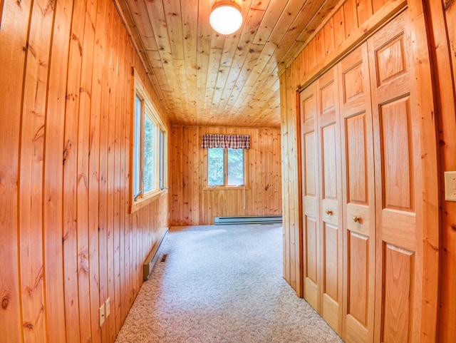 19559 Irvine Ave NW, Bemidji, MN 56601 - photo 21