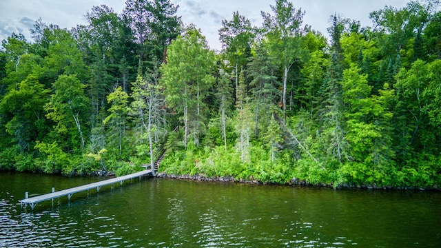 19559 Irvine Ave NW, Bemidji, MN 56601 - photo 64