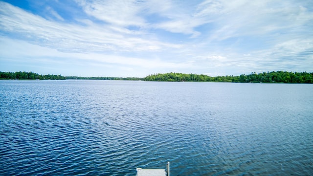 19559 Irvine Ave NW, Bemidji, MN 56601 - photo 66