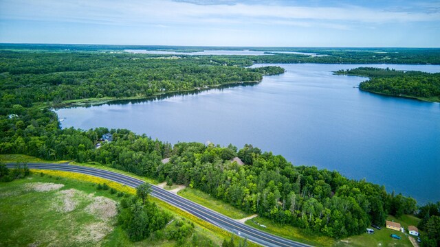 19559 Irvine Ave NW, Bemidji, MN 56601 - photo 70