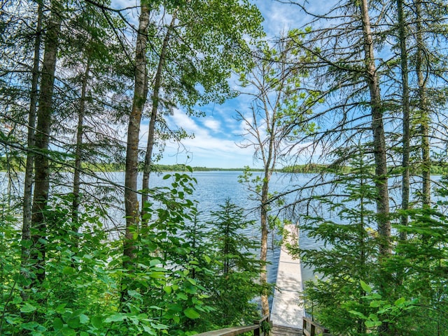 19559 Irvine Ave NW, Bemidji, MN 56601 - photo 74