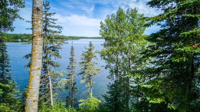 19559 Irvine Ave NW, Bemidji, MN 56601 - photo 75