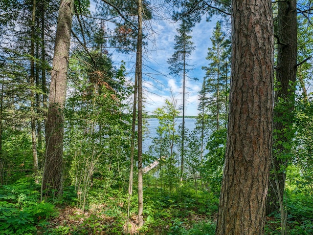19559 Irvine Ave NW, Bemidji, MN 56601 - photo 76