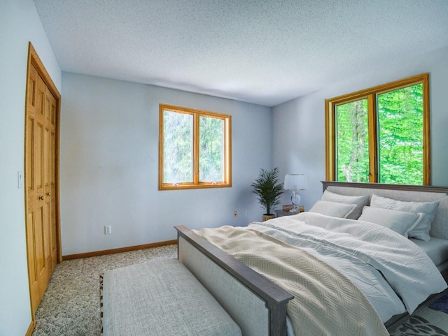 19559 Irvine Ave NW, Bemidji, MN 56601 - photo 34