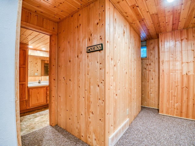 19559 Irvine Ave NW, Bemidji, MN 56601 - photo 39