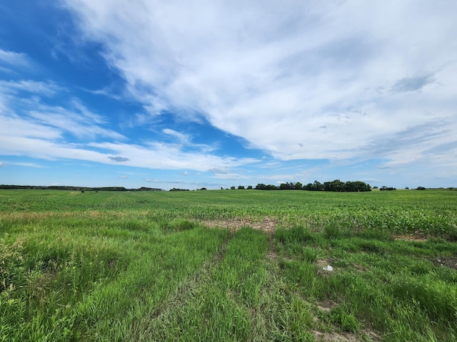 14XX1PAULAVENUEN Paul Ave N, May Twp, MN 55047 - photo 1