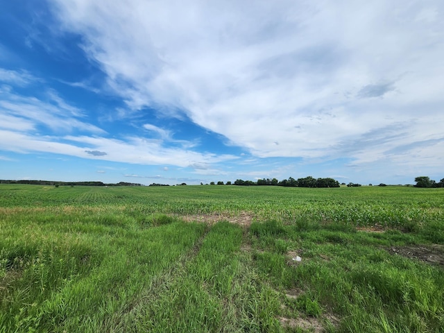 14XX1PAULAVENUEN Paul Ave N, May Twp, MN 55047 - photo 13