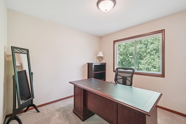 16989 Side Dr, Credit River Twp, MN 55372 - photo 15