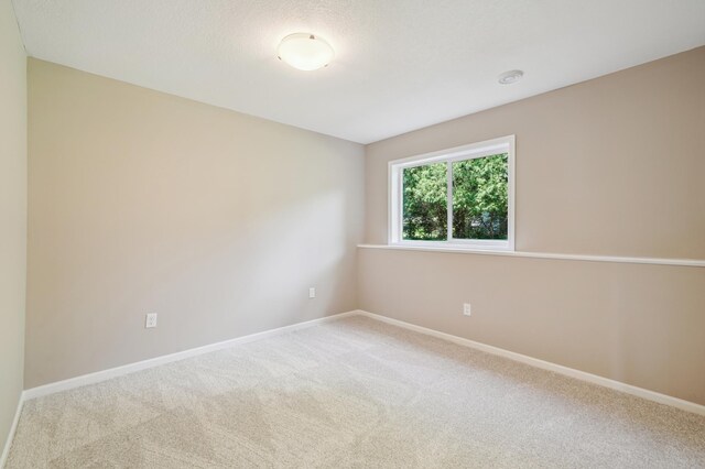 16989 Side Dr, Credit River Twp, MN 55372 - photo 16
