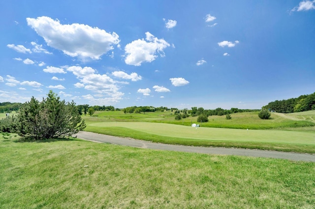 1162 Woods Creek Dr, Delano, MN 55328 - view of property's community with a putting area, golf course view, and a lawn