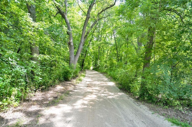 1162 Woods Creek Dr, Delano, MN 55328 - view of road featuring a forest view