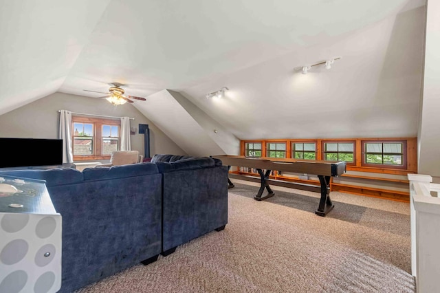 316 6th St, Brainerd, MN 56401 - photo 35