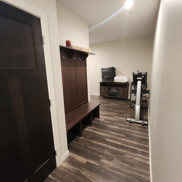 2238 Rolling Green Trl, North Mankato, MN 56003 - mudroom with wood finished floors